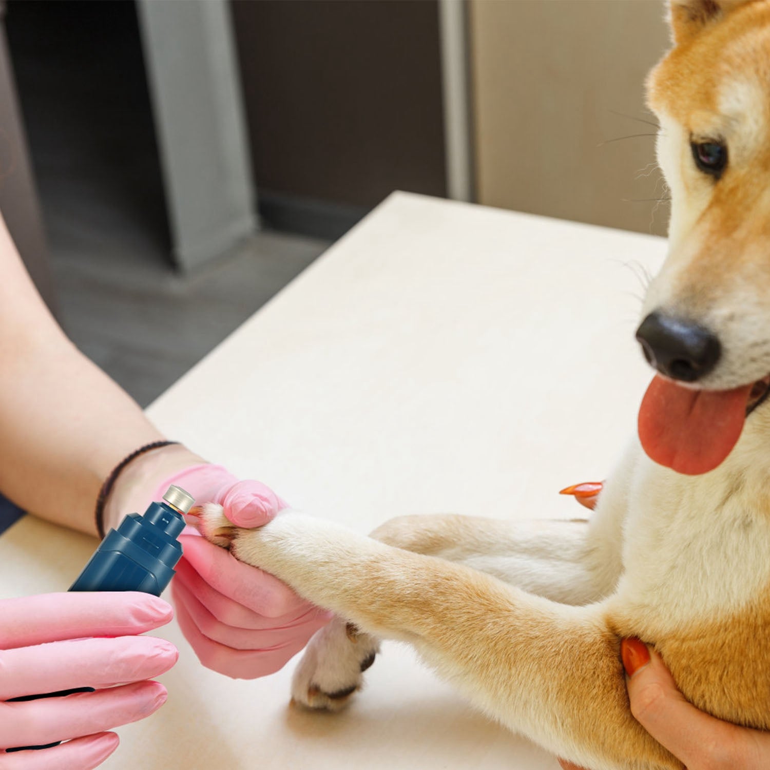 1Pc Dog Nail Grinder 2 Speeds Quiet USB Rechargeable Pet Nail Grinder Professional Pet Nail Trimmer Cordless Paws Grooming & Smoothing Claw Care For Small Medium Large Dogs & Cats cjdropshipping