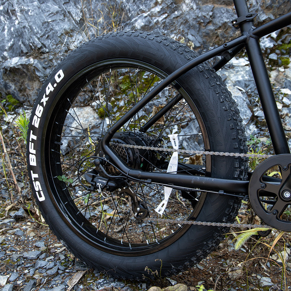 Professional Electric Bike For Adults, 26 X 4.0 Inches Fat Tire Electric Mountain Bicycle, 1000W Motor 48V 15Ah Ebike For Trail Riding, Excursion And Commute, UL And GCC Certified TryTrendly